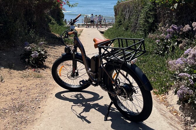 La Jolla's Best Coastal Electric Bike Tour - La Jolla Cove and the chance to see sea lions