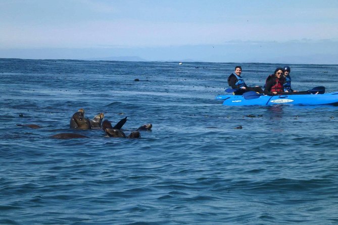 La Jolla Sea Caves Kayak Tour For Two (Tandem Kayak) - Starting at Avenida de la Playa
