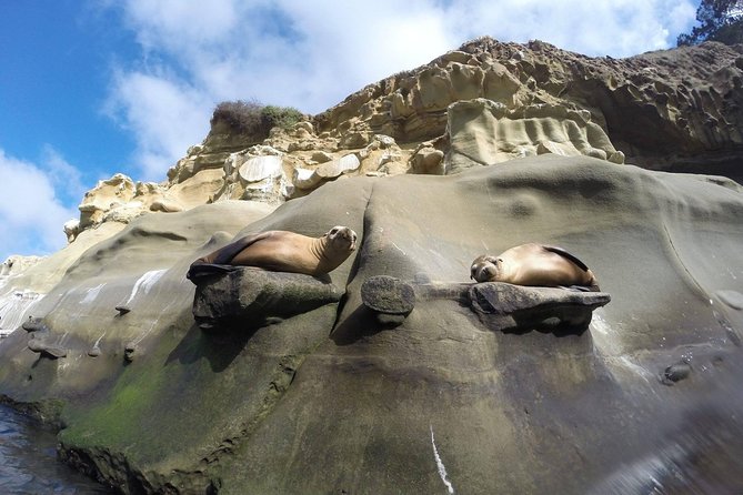 La Jolla Sea Caves Kayak Tour For Two (Tandem Kayak) - Learning to paddle before the waves