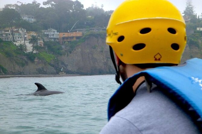 La Jolla Sea Caves Kayak Tour (Single Kayak) - Surf skills matter most at the end