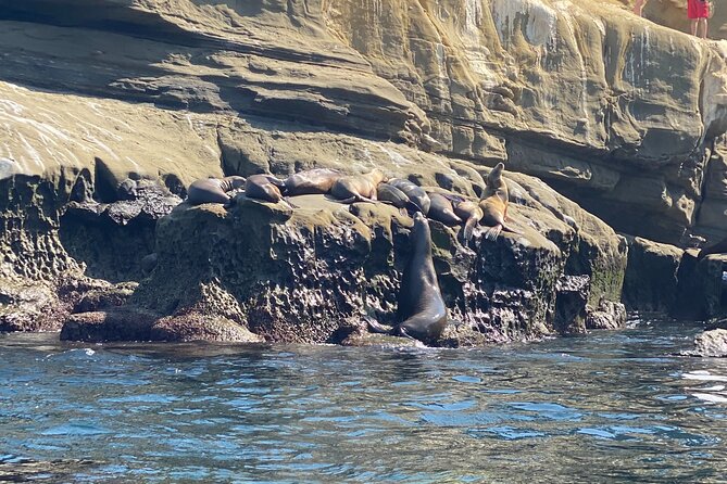 La Jolla Sea Caves Kayak Tour (Single Kayak) - Safety is more than a helmet and flotation vest