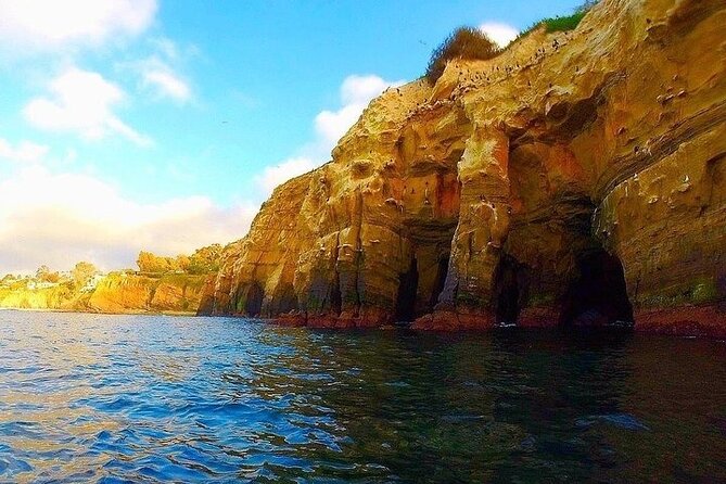 La Jolla Sea Caves Kayak Tour (Single Kayak) - Is $74 a fair price?