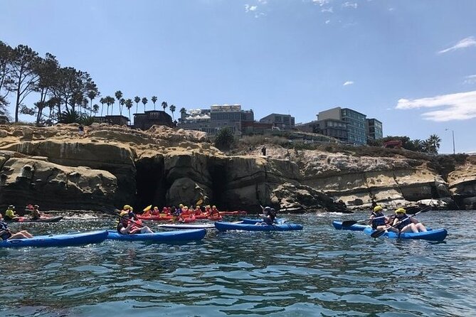 La Jolla Sea Caves Kayak Tour (Single Kayak) - The sea caves, with an important condition