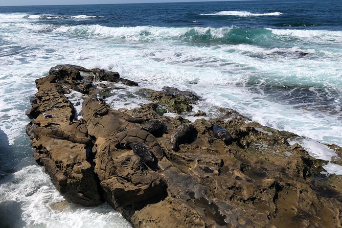 La Jolla Segway Tour - Sunny Jim Cave adds a strange bit of geology