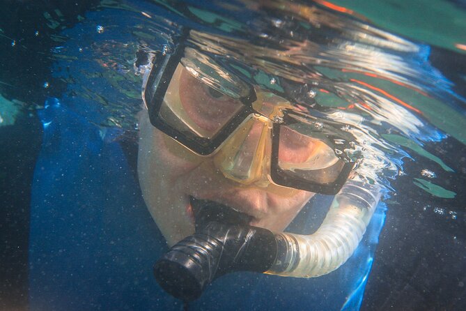 La Jolla Snorkel with the Leopard Sharks - Who will enjoy this La Jolla snorkel
