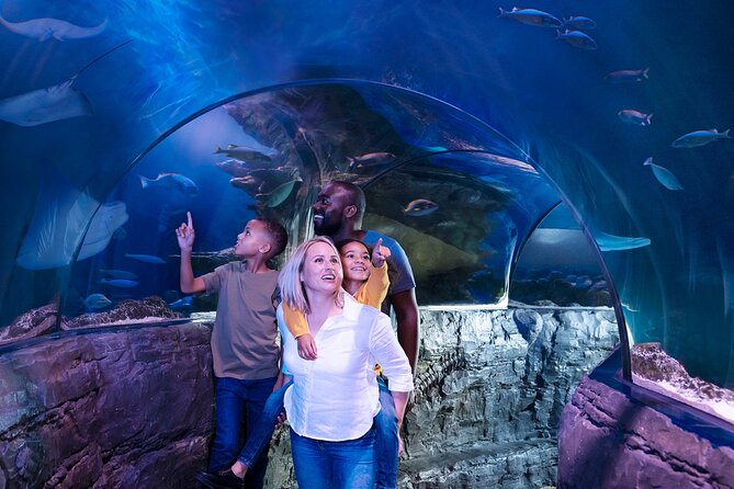 LEGOLAND® California Theme Park Admission Tickets - Key Points Before You Book