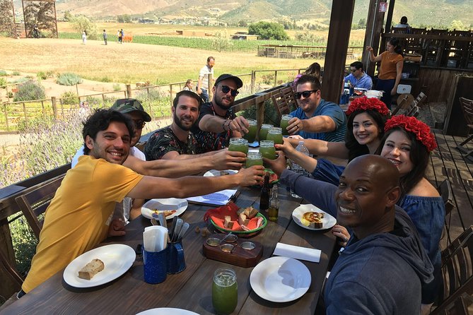 Luxury Private Wine Tasting Tour to Guadalupe Valley from San Diego - Key points to know before booking