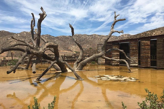 Luxury Private Wine Tasting Tour to Guadalupe Valley from San Diego - First tasting around 11:00 am