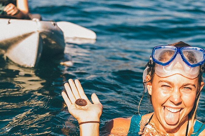 Original La Jolla Sea Cave Kayak Tour for Two - La Jolla Ecological Reserve and its sea life