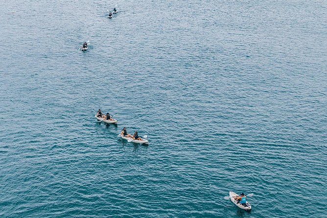 Original La Jolla Sea Cave Kayak Tour for Two - Guides make the difference