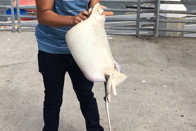 Pier Fishing Tour - San Diego - What happens during the two-hour fishing session