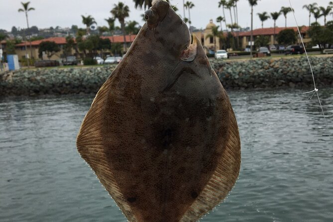 Pier Fishing Tour - San Diego - Timing, transport, and practical planning