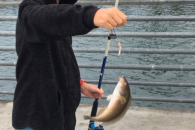 Pier Fishing Tour - San Diego - The value of supplied rods, tackle, and bait