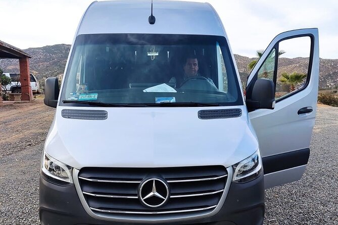 Premium Valle de Guadalupe Wine and Food Tour - From San Diego to Rosarito by 8:30 a.m.