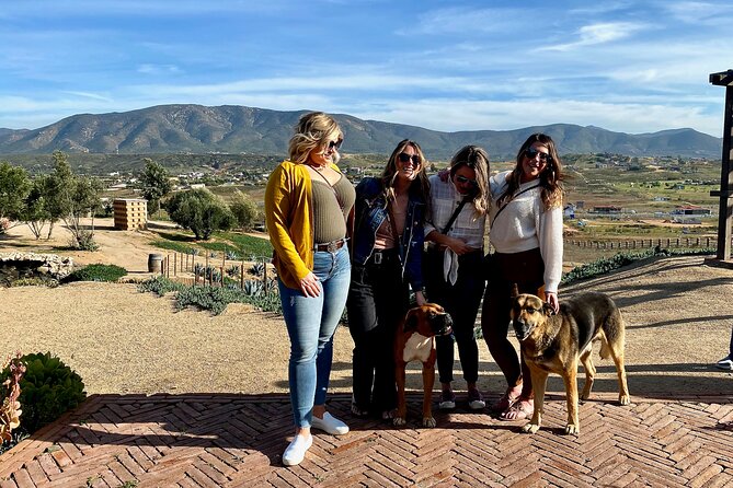 Premium Valle de Guadalupe Wine and Food Tour - Adobe Guadalupe turns tasting into lunch
