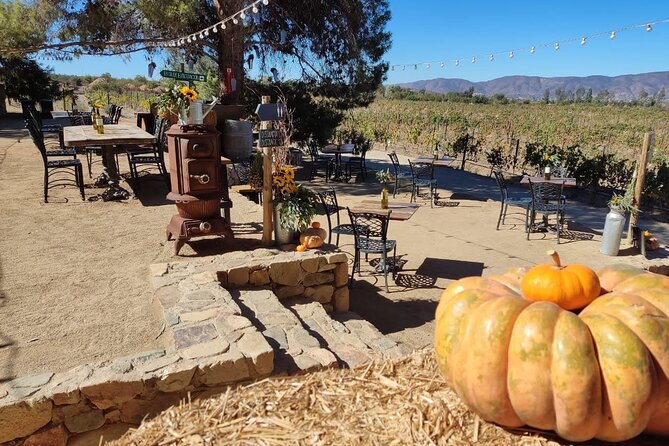 Premium Valle de Guadalupe Wine and Food Tour - Is $259 a fair price?