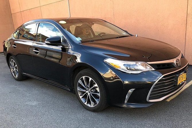 Private Arrival Transfer from San Diego Airport SAN - Booking details that can prevent trouble