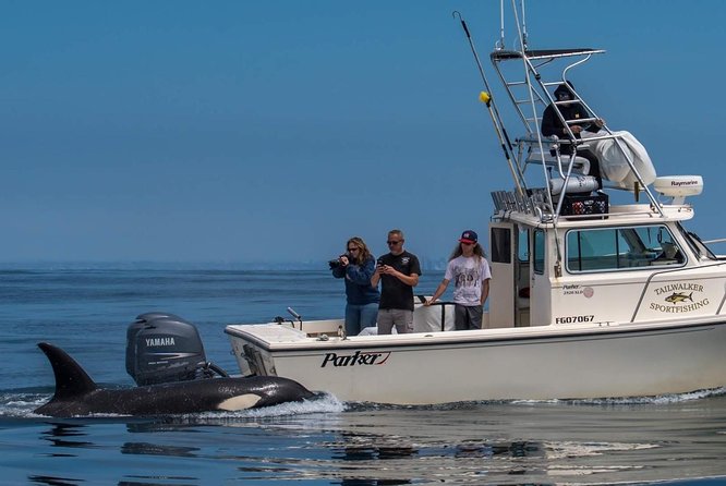 Private Family Whale & Dolphin Adventure in San Diego - Searching for Dolphins, Whales, and Sea Lions