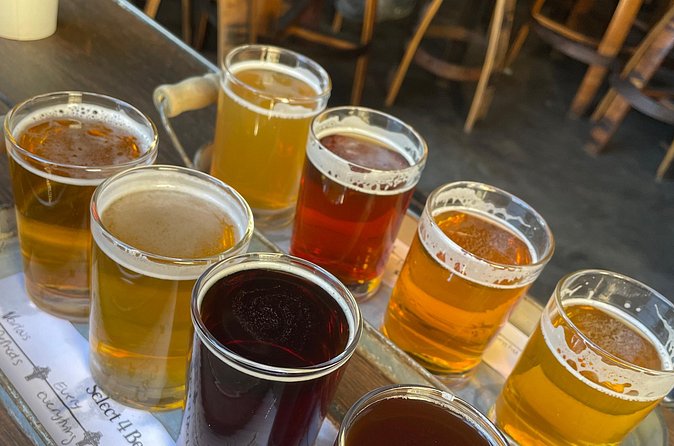 Private San Diego Beer Tasting Tour - Who Will Enjoy This Beer Tour Most