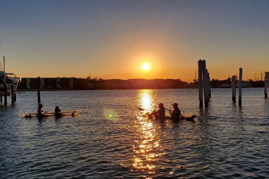 San Diego: 2024 Crystal Clear Kayak Rental - Key points to know before you book