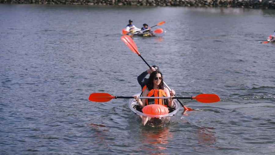 San Diego: 2024 Crystal Clear Kayak Rental - The meeting point and free parking