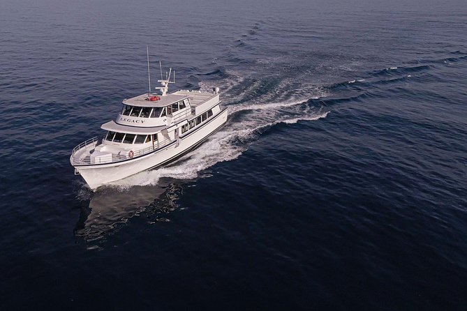 San Diego: 3 Hour Whale Watching Cruise - Key points to know before booking