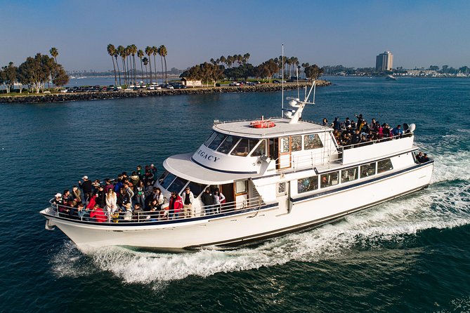 San Diego: 3 Hour Whale Watching Cruise - Leaving 1717 Quivira Road for Mission Bay