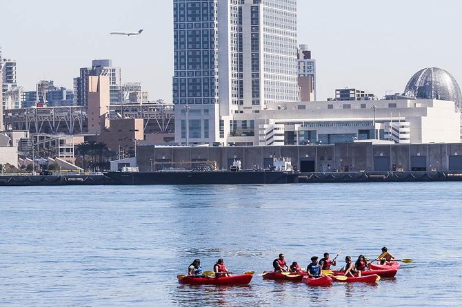 San Diego Bay 1.5-Hour Guided Kayak Tour in Coronado - What the guide adds to the paddle