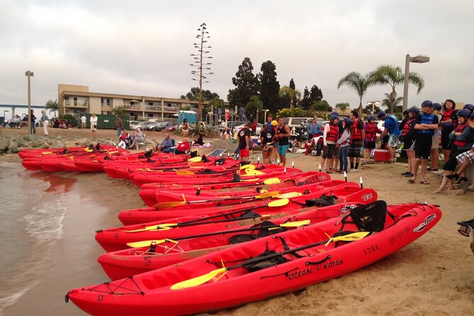 San Diego Bay 1.5-Hour Guided Kayak Tour in Coronado - Beneath the Coronado Bridge