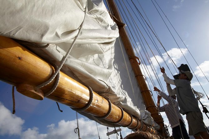 San Diego Bay Sail Aboard a Vintage Yacht Beer and Wine Included - Seaport Village, the Embarcadero, and the Rady Shell