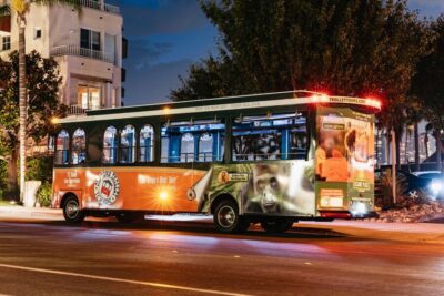 City Lights Night Trolley Tour