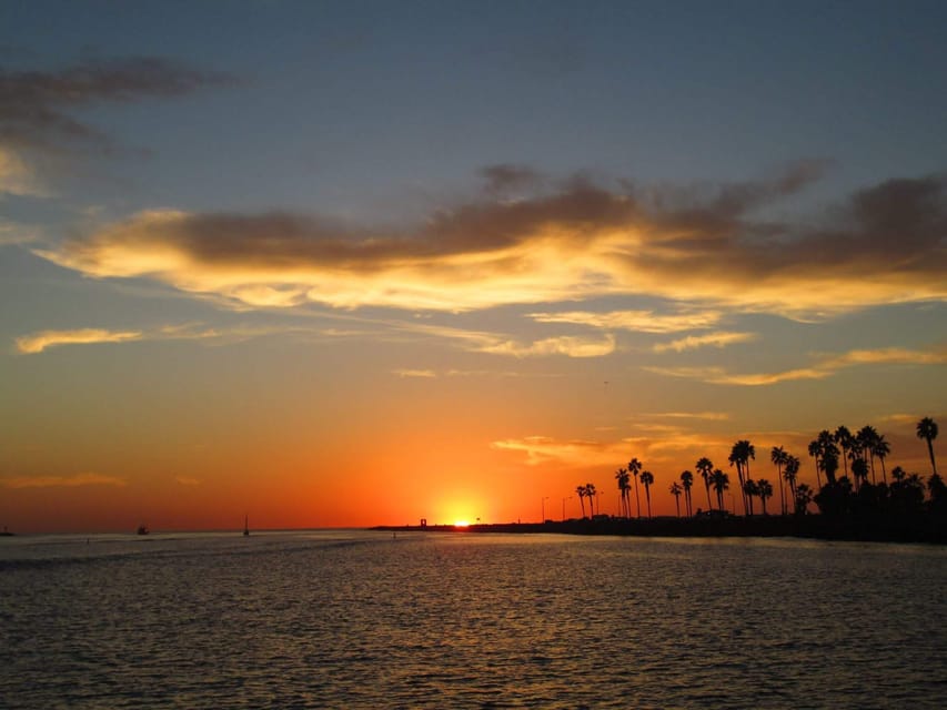 San Diego: Dolphin and Whale-Watching Sunset Cruise - Setting out from San Diego’s waterfront
