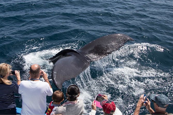 San Diego Explorer Pass: Save up to 50% - Includes San Diego Zoo - USS Midway and the waterfront museums