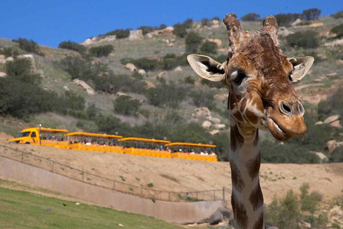 San Diego Explorer Pass: Save up to 50% - Includes San Diego Zoo - Bikes, boards, swimming, and smaller attractions