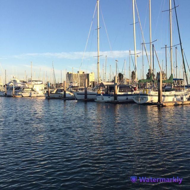 San Diego: Half-Day Marine Wildlife Tour with Lunch - Who will get the most from this cruise?