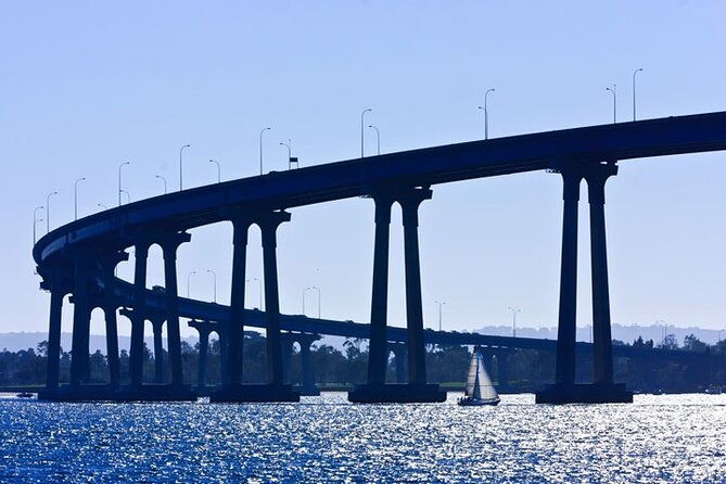 San Diego: Harbor Cruise - Sea lions, bridge views, and open water
