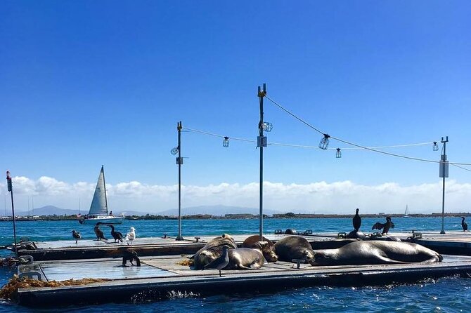 San Diego Harbor Speed Boat Adventure - Who should book this harbor adventure?