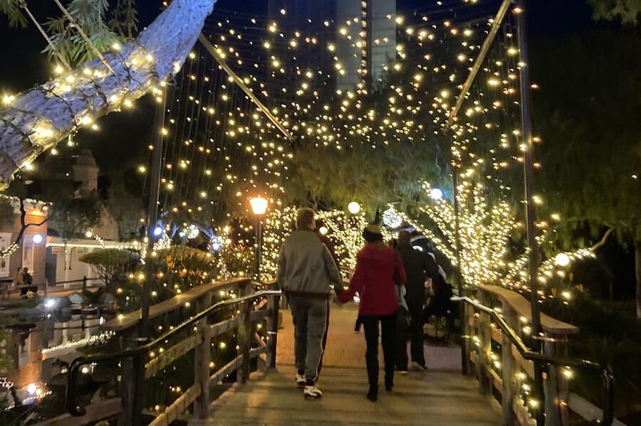 San Diego: Holiday Lights and Sights Trolley Tour - Old Town and the first holiday views