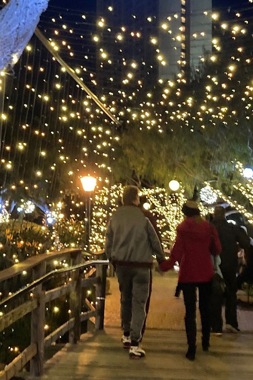 San Diego: Holiday Lights and Sights Trolley Tour - The elf conductor is more than a narrator