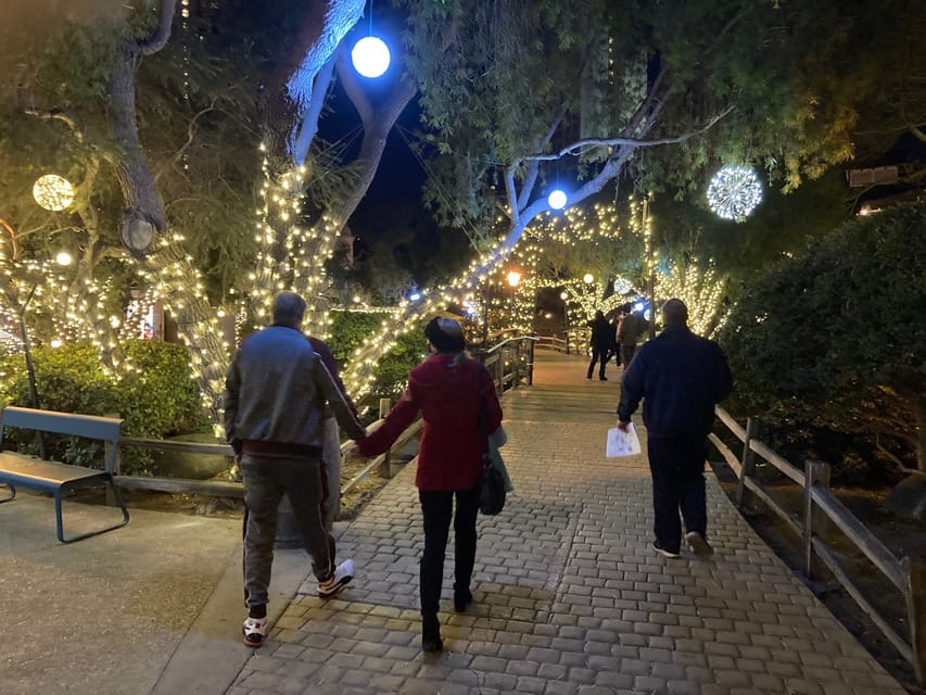 San Diego: Holiday Lights and Sights Trolley Tour - Who should choose this San Diego holiday tour?