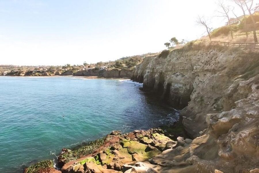 San Diego: La Jolla Cove Guided Snorkeling Tour - The caves are a highlight, with limits