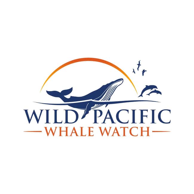 San Diego: Luxury Year-round Whale Watching & Dolphin Tour - Key Points