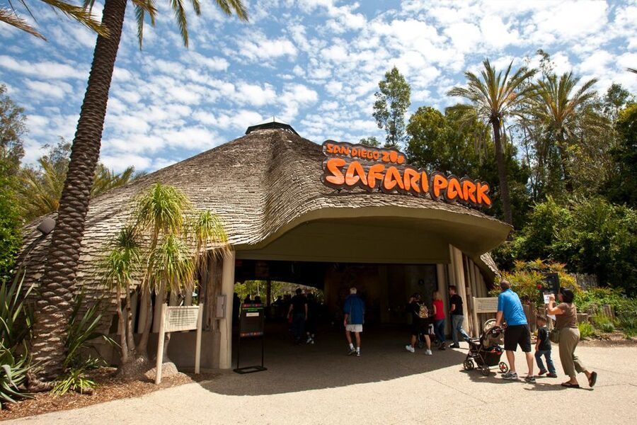 San Diego Pass Plus: 50+ Attractions - Includes LEGOLAND® - Planning One Day, Three Days, or Seven Days