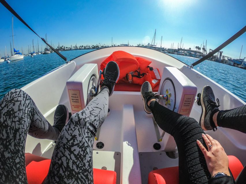 San Diego: San Diego Bay Dog-Friendly Eco Pedal Boat Rentals - Bringing your dog aboard
