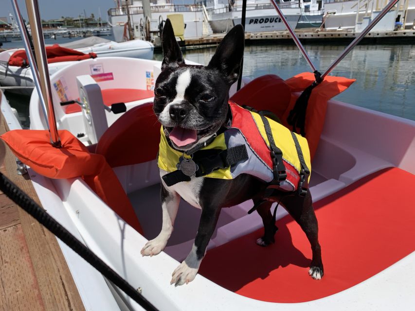 San Diego: San Diego Bay Dog-Friendly Eco Pedal Boat Rentals - How much value do you get for $44?