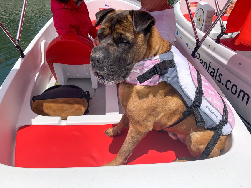 San Diego: San Diego Bay Dog-Friendly Eco Pedal Boat Rentals - Who will enjoy this outing most