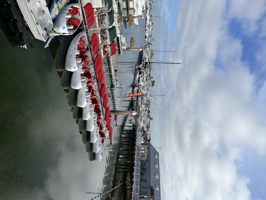 San Diego: San Diego Bay Dog-Friendly Eco Pedal Boat Rentals - Starting at H&M Landing