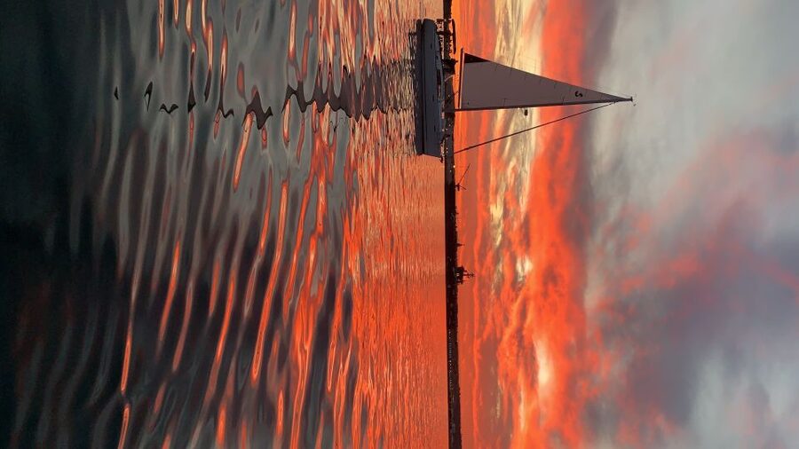 San Diego: San Diego Bay Sunset & Daytime Sailing Experience - Key points to know before you sail