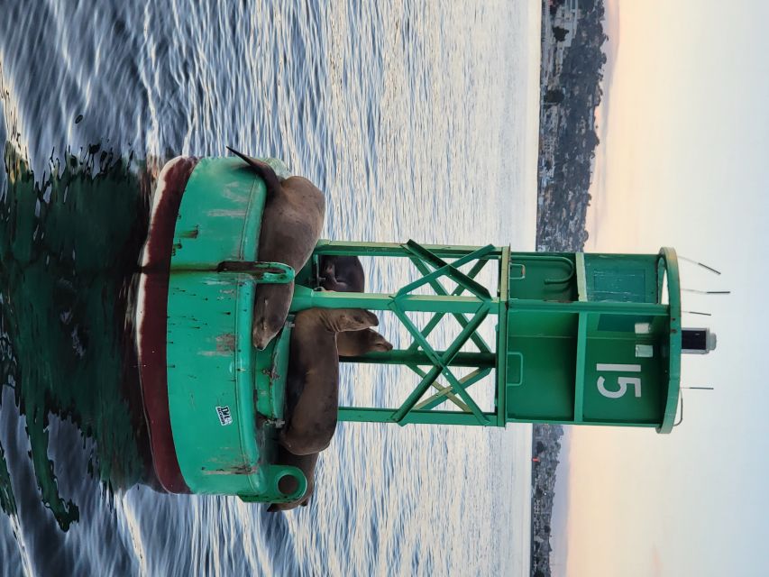 San Diego: San Diego Bay Sunset & Daytime Sailing Experience - Who will enjoy this San Diego Bay sail?