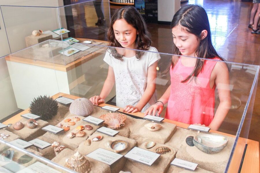 San Diego: San Diego Natural History Museum Ticket - The giant-screen theater adds real value